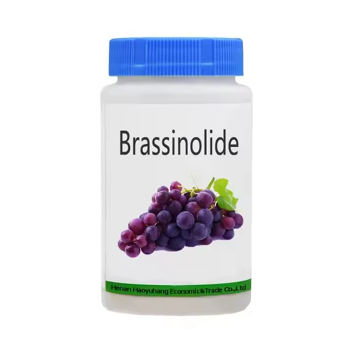 Brassinolide
